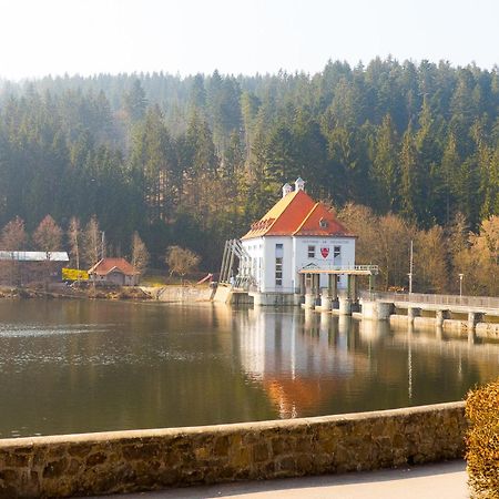 Ferienhaus Nr 15, Typ A, Feriendorf Jaegerpark, Bayerischer Wald Viechtach Luaran gambar